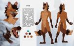  absurd_res anthro artist_name black_hair black_nose blue_eyes brown_body brown_fur cheek_tuft chest_tuft color_swatch crotch_tuft english_text eyewear facial_tuft fangs featureless_crotch front_view fur glasses hair hi_res looking_at_viewer male marie_merkh model_sheet mouth_closed nude open_mouth orange_body orange_fur rear_view solo standing teeth text tuft wearing_glasses 