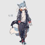  2023 absurd_res anthro canid canine canis clothed clothing collar hand_in_pocket hi_res jacket male mammal pockets rinrinwolf simple_background solo standing techwear topwear wolf 