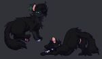  black_body black_fur domestic_cat felid feline felis female feral fur genitals grey_background hi_res hollyleaf_(warriors) mammal poleginy pussy simple_background solo warriors_(cats) 