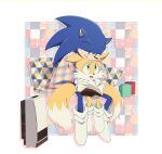  2boys animal_ears animal_nose arms_around_neck banri_0917 blue_eyes body_fur book border commentary_request cup fox_boy fox_ears fox_tail full_body furry furry_male gloves green_eyes half-closed_eyes head_on_head head_rest holding holding_book korean_commentary looking_at_another male_focus mug multiple_boys multiple_tails no_shoes on_lap open_mouth outside_border patterned_background pillow sitting smile socks sonic_(series) sonic_the_hedgehog tail tails_(sonic) two_tails white_border white_gloves white_socks 