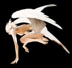  angel_wings bad_id bad_pixiv_id barefoot breasts closed_mouth devilman feathered_wings feet flying full_body half-closed_eyes hands head_wings highres low_wings multiple_wings nude plantar_flexion siren_(devilman) small_breasts soles solo toes wings yuanmaru 