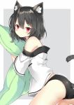  1girl animal_ear_fluff animal_ears ass bangs bare_shoulders black_hair black_panties blush cat_ears cat_girl cat_tail closed_mouth commentary_request eyebrows_visible_through_hair grey_background hair_between_eyes looking_at_viewer looking_to_the_side myuton no_pants off-shoulder_shirt off_shoulder original panties pillow pillow_hug red_eyes shirt short_sleeves solo tail tail_raised twitter_username two-tone_background underwear white_background white_shirt wide_sleeves 