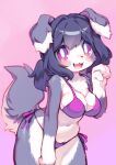  2023 5_fingers absurd_res anthro bikini blush breasts canid canine canis cleavage clothed clothing countershading cute_fangs digital_media_(artwork) dipstick_ears domestic_dog female female_anthro fingers floppy_ears fur gloves_(marking) grey_body grey_fur grey_hair hair hi_res kemono looking_at_viewer mammal markings midriff multicolored_body multicolored_ears multicolored_fur multicolored_tail navel open_mouth paw_pose pink_background pink_eyes pooding pose simple_background solo swimwear tail tongue two_tone_body two_tone_fur two_tone_tail white_body white_fur 