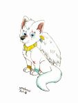  absurd_res canid canine canis collar cute_expression cute_eyes feathered_wings feathers female feral fur happy hi_res mammal scar solo wings wolf yordraw 