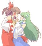  2girls arnest ascot bare_shoulders blue_skirt bow breasts brown_eyes brown_hair detached_sleeves frilled_skirt frills frog_hair_ornament green_eyes green_hair hair_bow hair_ornament hair_tubes hakurei_reimu highres japanese_clothes kochiya_sanae large_breasts long_hair medium_hair multiple_girls nontraditional_miko red_bow red_skirt ribbon-trimmed_sleeves ribbon_trim sidelocks simple_background skirt snake_hair_ornament touhou white_background white_sleeves wide_sleeves yellow_ascot 