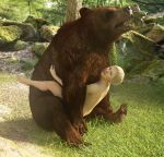  2021 3d_(artwork) absurd_res ambiguous_penetration bear bestiality brown_bear day detailed digital_media_(artwork) duo elena_fisher female female_on_feral female_penetrated feral feral_penetrating feral_penetrating_human geebee grass grizzly_bear hi_res human human_on_feral human_penetrated interspecies larger_feral larger_male male male/female male_penetrating male_penetrating_female mammal naughty_dog nude open_mouth outside penetration plant rock sex size_difference smaller_female smaller_human smaller_penetrated smile sony_corporation sony_interactive_entertainment teeth tongue tree uncharted ursine 