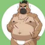  2023 anthro asian_clothing belly big_belly black_nose blush bodily_fluids canid canine canis clothing domestic_dog east_asian_clothing fundoshi hi_res japanese_clothing kemono lifewonders male mammal moobs navel nipples overweight overweight_male scar simple_background solo sweat tokyo_afterschool_summoners underwear white_clothing white_fundoshi white_underwear yaki_atsuage yasuyori 