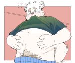  2023 anthro belly blush canid canine canis clothed clothing clothing_lift domestic_dog hi_res humanoid_hands inunoshippo kemono male mammal navel overweight overweight_male shirt shirt_lift solo topwear underwear 