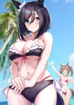  2girls arm_up bikini black_hair blue_eyes blue_sky blurry blurry_background blush breasts cleavage cloud collarbone commentary_request day eishin_flash_(umamusume) frilled_bikini frills herohero_(higashi_no_dou) highres looking_at_viewer medium_breasts multiple_girls navel outdoors palm_tree pink_bikini sky smart_falcon_(umamusume) solo_focus swimsuit tree umamusume 