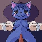  animal_crossing animated anthro belly blue_body blue_fur breast_play breasts brown_eyes digital_media_(artwork) domestic_cat felid feline felis female female_penetrated fur genitals hi_res lawealewd male male/female mammal navel nintendo nipples penetration penis pixel_(artwork) pussy rosie_(animal_crossing) sex vaginal 