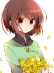  1other androgynous black_shirt black_undershirt bob_cut brown_hair chara_(undertale) closed_mouth collared_shirt commentary crossed_arms falling_petals flower gold_necklace green_sweater heart_pendant holding holding_flower holding_too_many_things jewelry locket long_sleeves looking_at_viewer loose_hair_strand necklace pendant petals red_eyes shirt short_hair simple_background single_horizontal_stripe smile solo sweater tokiha_(haruka951116) two-tone_sweater undertale upper_body white_background yellow_flower yellow_sweater 