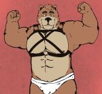  barazoku bdsm bear bittercrittercafe briefs brown_bear buffmuffin_(doug_bakerman) chest_harness clothing flexing grizzly_bear harness hi_res humanoid male mammal muscular pecs solo underwear ursine white_briefs white_clothing white_underwear 