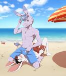  2023 5_fingers absurd_res aggressive_retsuko anthro asinus beach blush bulge bulge_in_face cloud digital_media_(artwork) donkey duo equid equine fingers fur hi_res lagomorph leporid looking_at_another looking_at_partner male male/male mammal netflix rabbit sand sanrio sea seaside shorts_only sky tadano_(aggretsuko) tommysamash water white_body white_fur 