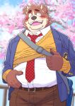  2023 anthro black_nose blush bottomwear brown_body canid canine canis cherry_blossom cherry_blossom_tree cherry_tree clothing domestic_dog fruit_tree hi_res kemono male mammal necktie overweight overweight_male pants plant ryuta-h shirt solo topwear tree 