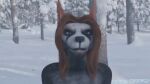  3d_(artwork) angry animated anthro beard black_body black_fur blue_eyes canid canine canis detailed_background digital_media_(artwork) domestic_dog facial_hair fangs forest fur growling hair kinkyskinky long_hair male mammal no_sound plant realistic red_hair short_playtime showing_teeth snow solo teeth tree white_face winter 