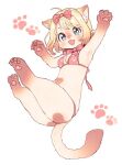  2016 amezawa_koma anthro bikini clothed clothing domestic_cat felid feline felis female kemono mammal solo swimwear 