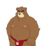  1:1 2023 anthro asian_clothing bear belly big_belly black_nose brown_body clothing east_asian_clothing fundoshi hi_res humanoid_hands japanese_clothing kemono male mammal moobs navel nipples overweight overweight_male paw_print_underwear red_clothing red_fundoshi red_underwear sangguri_32 simple_background solo underwear white_background 