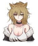  1girl animal_ears arknights black_collar black_jacket breasts brown_hair cleavage collar fur-trimmed_jacket fur_trim highres jacket large_breasts lion_ears lion_girl off_shoulder petra_(jgc845601) siege_(arknights) simple_background solo studded_collar tank_top upper_body white_background white_tank_top yellow_eyes 