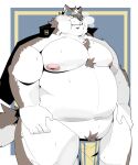  accessory anthro belly bottomwear canid canine canis clothing coolietf fur grey_body grey_fur headband hi_res horkeu_kamui_(tas) lifewonders loincloth male mammal moobs overweight solo tokyo_afterschool_summoners wolf 