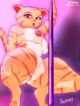  anthro breasts cing darioriz domestic_cat felid feline felis female genitals mammal nude pinup pole pose pussy solo stripper_pole tiger_lily_(tito_lizzardo) tiktok tito_lizzardo_and_catty_b 