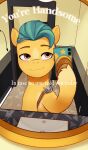  absurd_res badge bathroom caption hasbro hi_res hitch_trailblazer_(mlp) hooves leg_markings male markings mirror_selfie mlp_g5 my_little_pony public_restroom sash selfie sheriff_badge smarpthone smile socks_(marking) turquoise_hair 