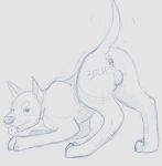  canid canine canis domestic_dog feral gaypaw hi_res male mammal sketch solo 