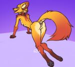  all_fours anthro anus breasts butt canid canine discreet_user female fox fur genitals looking_back mammal multi_ear mylar_(discreet_user) open_mouth pawpads paws presenting presenting_hindquarters pussy raised_tail simple_background small_breasts solo tail tongue tongue_out yellow_body yellow_fur 