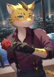  anthro city cityscape clothing felid floves flower fur green_eyes hi_res leopard lifewonders looking_at_viewer male mammal ose_(tas) pantherine plant ponzu_tas purple_clothing purple_shirt purple_topwear rose_(flower) shirt solo spots spotted_body spotted_fur suspenders tokyo_afterschool_summoners topwear yellow_body yellow_fur young 