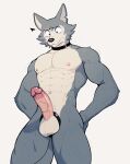  2023 abs accessory anthro areola athletic athletic_anthro athletic_male balls beastars canid canine canis cock_ring erection genitals hi_res humanoid_genitalia humanoid_penis jewelry jrjresq legoshi_(beastars) looking_down male mammal nipples penis penis_accessory penis_jewelry pink_penis simple_background solo wolf 