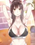  1girl animal_ears black_bra blush bra breasts brown_hair cat_ears citrus_(saburouta) cleavage flying_sweatdrops gangshangguang_(smjy5842) highres large_breasts long_hair looking_at_viewer navel solo solo_focus sparkling_sweat sweat sweatdrop taniguchi_harumi underwear underwear_only underwear_writing very_sweaty 