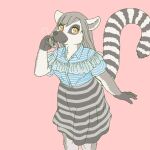  anthro clothed clothing ekaki510 female kemono lemur mammal primate ring-tailed_lemur solo strepsirrhine 