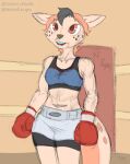  animal_humanoid anthro blood bodily_fluids boxing boxing_attire boxing_gloves boxing_shorts chamma_retsuden clothing fan_character female fighting_ring handwear hi_res humanoid mammal mammal_humanoid masteroflasagna mustelid mustelid_humanoid otter otter_humanoid solo sport 