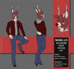  5_fingers anthro antlers biped blue_eyes bottomwear clothed clothing countershade_fur countershade_neck countershade_tail countershading deer english_text eyebrows eyes_closed fingers fur hooves horn linkscape male mammal model_sheet morgan_(linkscape) pants scut_tail short_tail smile solo tail text 