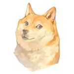  animal animal_focus brown_fur closed_mouth dog doge freckles highres kabosu_(dog) looking_at_viewer meme no_humans original simple_background solo tapioka_chaso whiskers white_background 