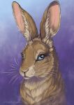  absurd_res blue_eyes brown_body brown_fur female feral fur gradient_background headshot_portrait hi_res hyzenthlay_(watership_down) lagomorph leporid looking_at_viewer lupifluvii mammal portrait purple_background rabbit simple_background smaller_version_at_source solo watership_down whiskers 