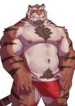  2023 5_fingers absurd_res adios anthro biceps big_biceps big_pecs body_hair briefs briefs_only brown_body brown_body_hair brown_facial_hair brown_fur brown_stripes bulge chest_tuft claws clothed clothing colored countershade_face countershade_hands countershade_legs countershade_torso countershading facial_hair felid fingers fur goatee happy_trail hi_res looking_at_viewer male mammal multicolored_body multicolored_fur muscular muscular_anthro muscular_male navel nipples orange_body orange_fur pantherine pecs pink_nipples pink_nose portrait pubes red_briefs red_clothing red_underwear simple_background solo striped_body striped_fur stripes tan_body tan_fur three-quarter_portrait tiger topless trapezius tuft underwear underwear_only white_background white_claws 
