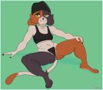  absurd_res anthro camel_toe clothing domestic_cat epic_games felid feline felis female fortnite hi_res mammal meow_skulls_(fortnite) nipple_outline panties sitting solo srcook topwear underwear 