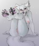  &lt;3 4_toes anthro anus arctic_fox aroused barefoot bedroom_eyes big_butt big_tail biped blush bodily_fluids breasts butt canid canine claws clitoris digital_drawing_(artwork) digital_media_(artwork) embarrassed feet female fluffy fluffy_tail foot_focus fox freckles fur genital_fluids genitals hi_res legs_in_air littlebeastgc looking_at_viewer mammal narrowed_eyes nill_(nillsnow) nipples nude pawpads paws piercing pink_anus pink_pussy presenting presenting_pussy pussy seductive shaded simple_background sitting smile solo spots spotted_nose spotted_pawpads spreading tail thick_thighs toes white_background white_body white_fur 