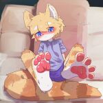  2023 4_toes absurd_res anthro barefoot blue_eyes blush bodily_fluids bottomwear brown_body brown_fur clothing digital_media_(artwork) domestic_cat feet felid feline felis fur hair hi_res kemono looking_at_viewer male male_anthro mammal markings multicolored_body multicolored_fur multicolored_tail pawpads paws plantigrade shirt short_hair shorts soles solo spread_toes striped_markings striped_tail stripes sweat sweatdrop sweaty_feet t-shirt tabby_cat tabby_tabby tail tail_markings tan_body tan_fur tan_hair toes topwear translated_description wet wet_body wet_clothing wet_fur white_body white_fur young 