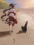  1girl admire_vega_(umamusume) animal animal_ears barefoot beach black_cat blue_sky brown_hair cat cloud commentary_request facing_away footprints from_behind hair_ribbon highres holding holding_clothes holding_footwear holding_shoes horse_ears horse_girl horse_tail jacket long_hair low_ponytail outdoors pants ponytail red_jacket red_pants ribbon sand shoes shoes_removed sky soles solo sunset tail tail_through_clothes track_jacket track_pants track_suit umamusume very_long_hair walking white_footwear white_ribbon yano_(edbr1022) 