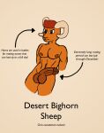  balls big_balls big_penis brown_eyes desert_bighorn_sheep fur genitals hi_res horn huge_balls huge_penis male muscular orange_body orange_fur pecs penis quiff_(hairstyle) solo solo_focus thereexistsk 