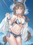  1girl admire_vega_(umamusume) alternate_costume animal_ears bikini blush breasts brown_hair cleavage commentary highres horse_ears horse_girl horse_tail jewelry looking_at_viewer medium_breasts necklace oshage_(osyage921) ponytail sky solo swimsuit tail towel umamusume water_drop wet 