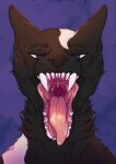  anthro black_body black_eyebrows black_fur blue_eyes blue_pupils bodily_fluids canid cheek_tuft eyebrows facial_tuft fangs front_view fur gaping_mouth hi_res lionfloof looking_at_viewer male mammal mouth_shot narrowed_eyes neck_tuft open_mouth pupils red_tongue saliva saliva_string simple_background solo teeth tongue tongue_out tuft white_body white_fur 