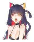  1girl absurdres animal_ear_fluff animal_ears bare_shoulders black_bra blush bra breasts cat_ears cat_girl cat_tail choker cleavage collarbone colored_inner_hair fangs heterochromia highres looking_at_viewer low_twintails lucadark_art medium_breasts multicolored_hair open_mouth original piercing red_eyes ribbon slit_pupils solo tail tail_ornament tail_ribbon teeth tongue tongue_out tongue_piercing twintails underwear upper_body white_background 