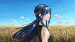  1girl absurdres animal_ears arknights astesia_(arknights) bird_ears blue_eyes blue_hair bright_pupils cloud from_side hair_ornament highres immeasurable long_hair looking_at_viewer outdoors portrait shirt sky solo star_(symbol) turning_head wheat wheat_field white_pupils white_shirt 