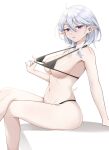  1girl absurdres artist_name bikini black_bikini blush breasts character_request collarbone crossed_legs dr_(slrkwhdma12) feet_out_of_frame grey_hair hair_between_eyes highres large_breasts legs looking_at_viewer maplestory medium_hair navel parted_lips pointy_ears purple_eyes simple_background sitting solo swimsuit white_background 