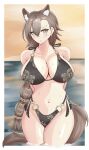  absurdres animal_ear_fluff animal_ears anthonii arknights bikini braid breasts brown_eyes brown_hair cowboy_shot extra_ears highres large_breasts mole_above_eye mole_on_forehead ocean orange_sky penance_(arknights) sky swimsuit tail wet wolf_ears wolf_girl wolf_tail 