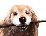  animal animal_focus bernin black_eyes brown_fur close-up commentary_request dog highres holding holding_stick looking_at_viewer mouth_hold no_humans original portrait realistic simple_background smile stick teeth whiskers white_background 