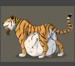  achilles_(achilles4) ambiguous_gender animal_genitalia balls belly big_belly collar duo eyes_closed felid feral feral_pred feral_prey genitals hi_res lion male male_pred mammal oral_vore pantherine quadruped sheath soft_vore swallowing thatgryphonguy tiger vore 