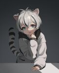  1boy :d absurdres animal_ears black_hair ellu grey_hair highres hood hood_down hoodie long_sleeves looking_at_viewer multicolored_hair open_mouth original otoko_no_ko short_hair smile streaked_hair tail tiger_boy tiger_ears tiger_tail two-tone_hair white_hoodie 